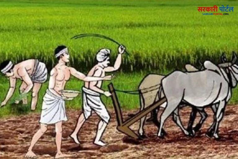 Kisan Yojana: अब किसानो को धान की फसल नहीं करने पर दिए जाएंगे 7000 हज़ार रुपए, सरकार ने की बड़ी घोषणा